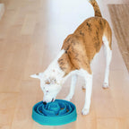 Outward Hound Fun Feeder Slow Feeding Bowl Non Slip for Dogs and Cats - Bellhaven & Co.