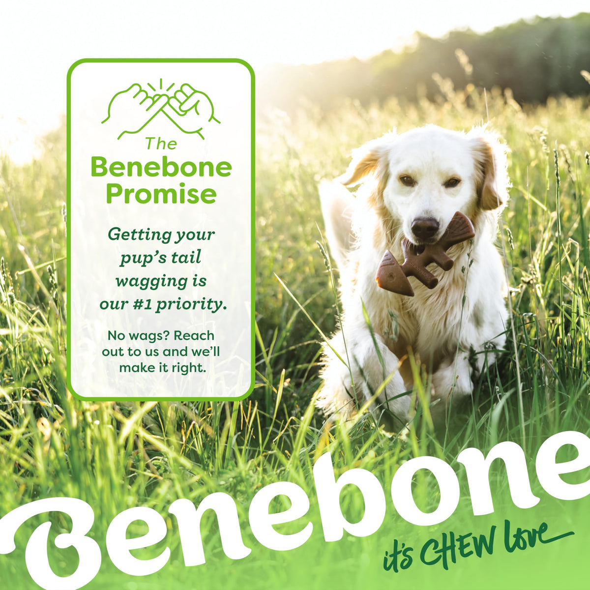 Benebone Medium 4-Pack Dog Toys for Aggressive Chewers - Bellhaven & Co.