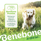 Benebone Medium 4-Pack Dog Toys for Aggressive Chewers - Bellhaven & Co.