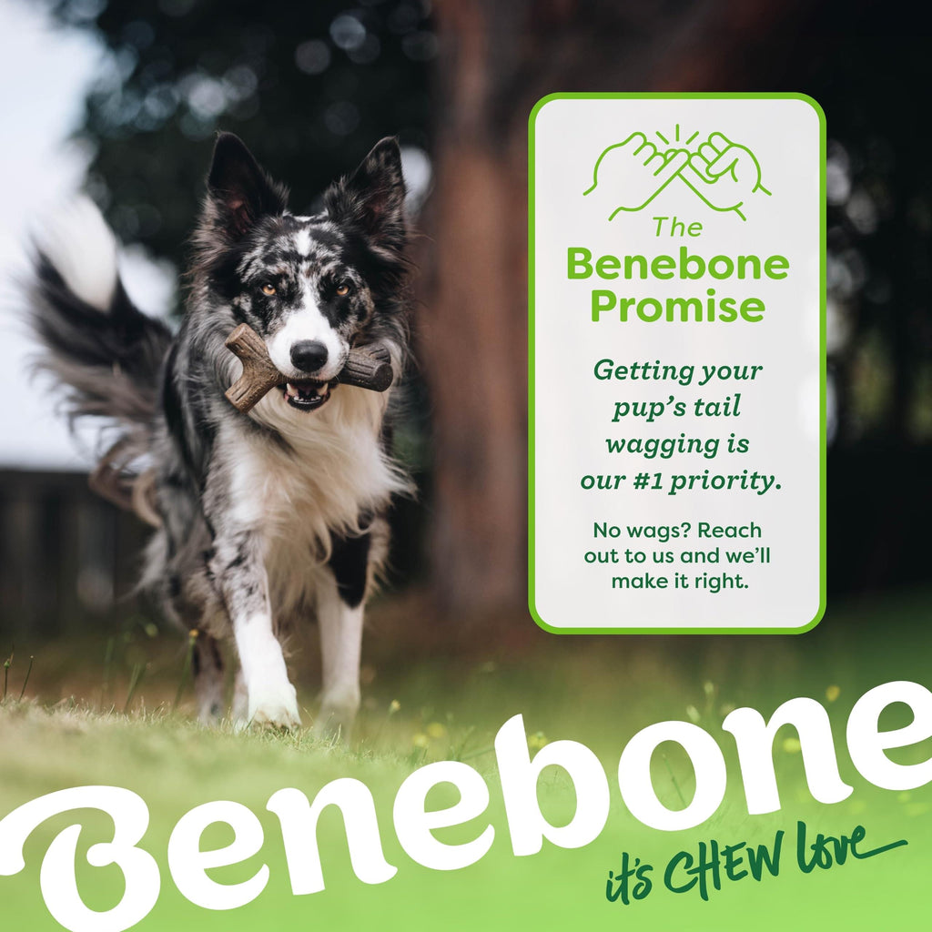 Benebone Medium 4-Pack Dog Toys for Aggressive Chewers - Bellhaven & Co.