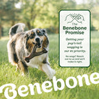 Benebone Medium 4-Pack Dog Toys for Aggressive Chewers - Bellhaven & Co.