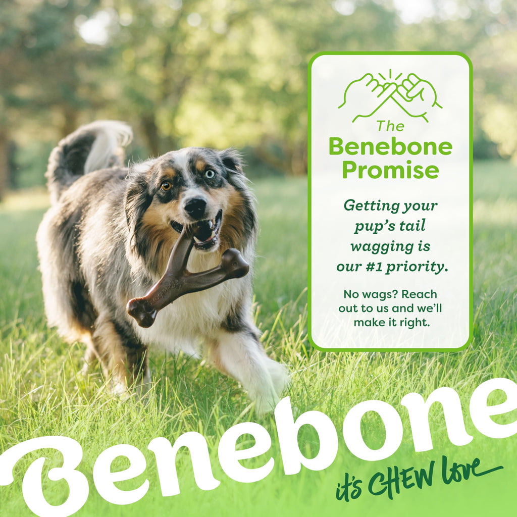 Benebone Wishbone Durable Dog Chew Toy for Aggressive Chewers Single or Double Packs - Bellhaven & Co.