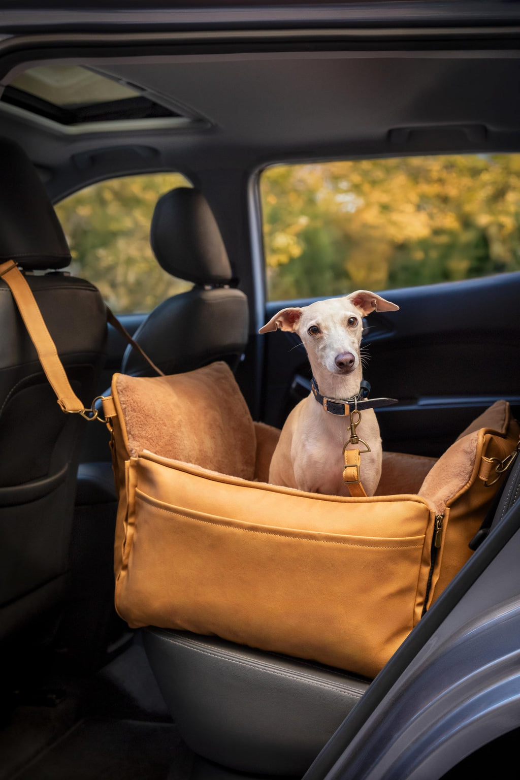 NOAH & PAW Small Dog Car Seat for Small Medium Pets with Harness Clip - Bellhaven & Co.