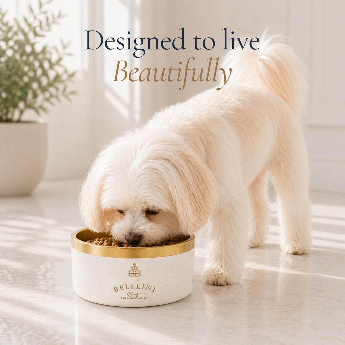 Belleini Brushed Gold & Ivory Terrazzo Dog Bowl - Bellhaven & Co.