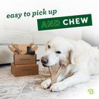 Benebone Medium 4-Pack Dog Toys for Aggressive Chewers - Bellhaven & Co.