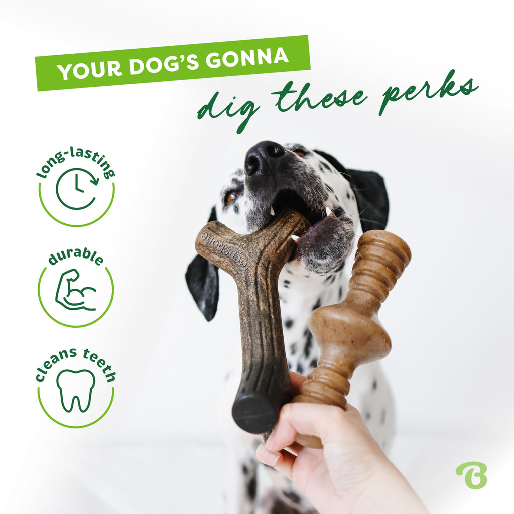 Benebone Medium 4-Pack Dog Toys for Aggressive Chewers - Bellhaven & Co.