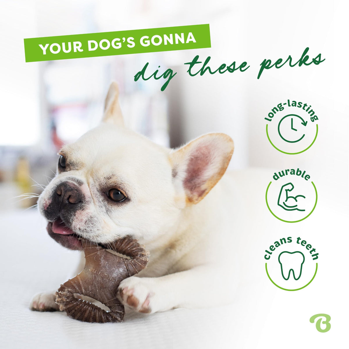 Benebone Medium 4-Pack Dog Toys for Aggressive Chewers - Bellhaven & Co.