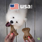 Benebone Medium 4-Pack Dog Toys for Aggressive Chewers - Bellhaven & Co.