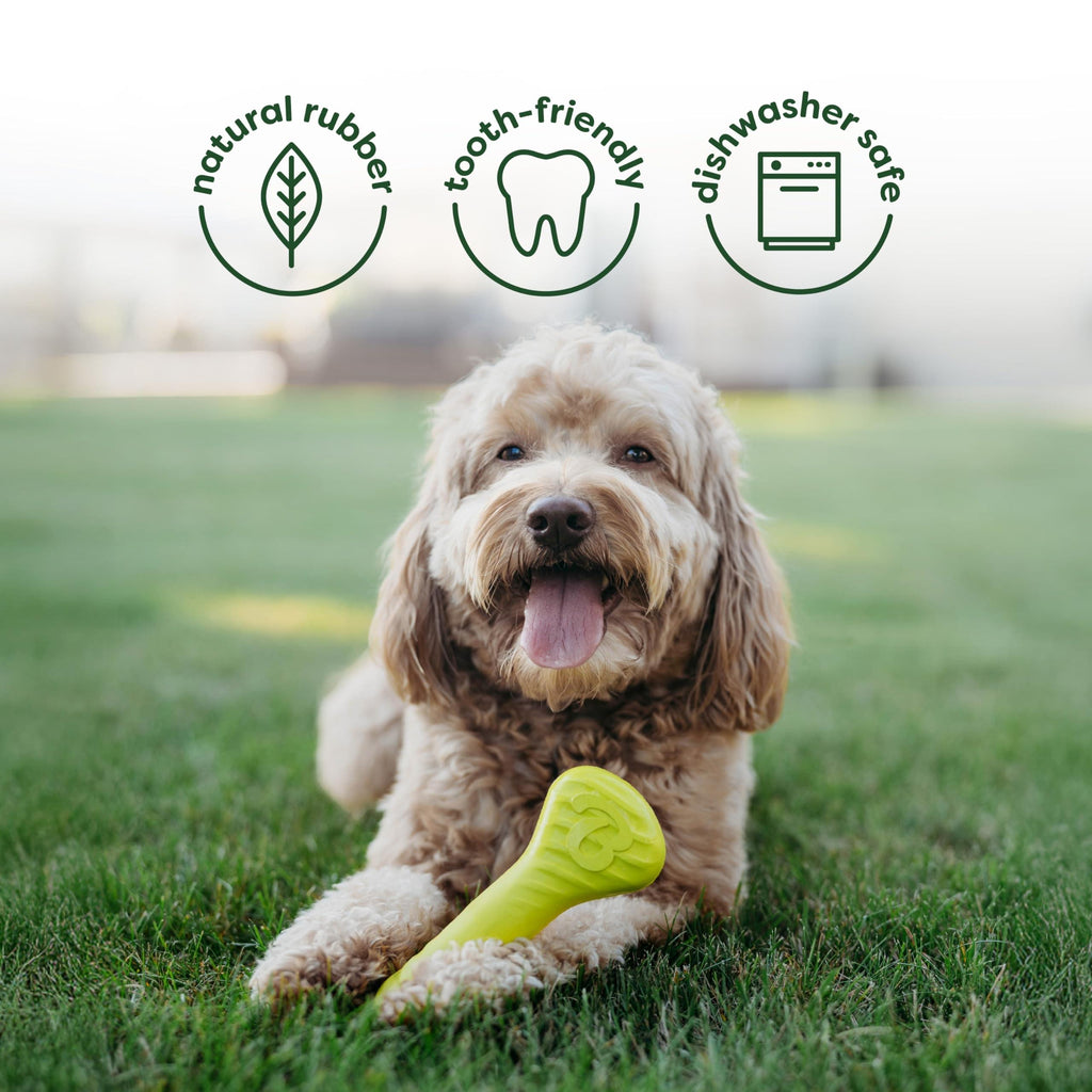 Benebone Medium 4-Pack Dog Toys for Aggressive Chewers - Bellhaven & Co.