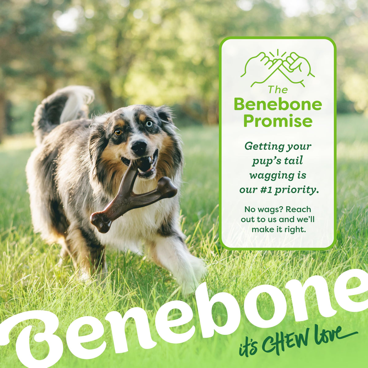 Benebone Medium 4-Pack Dog Toys for Aggressive Chewers - Bellhaven & Co.