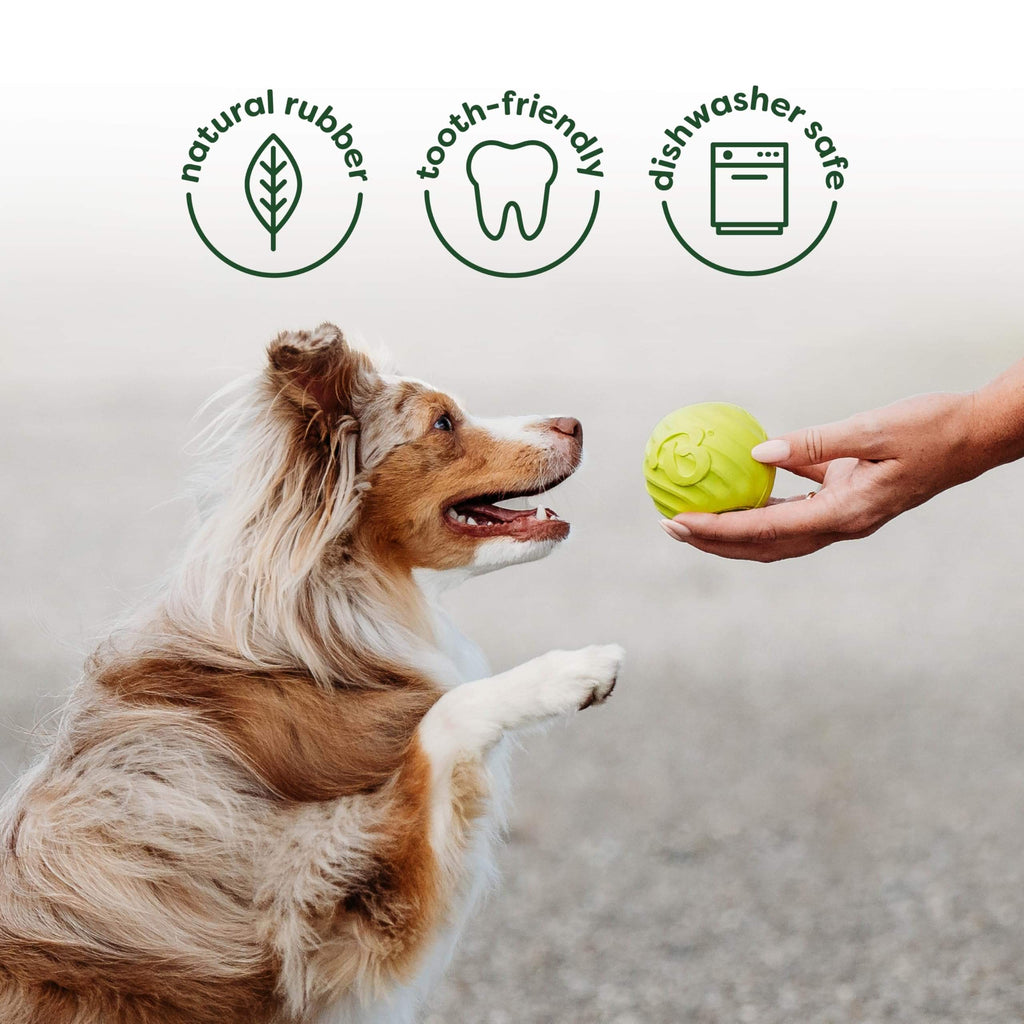 Benebone Medium 4-Pack Dog Toys for Aggressive Chewers - Bellhaven & Co.