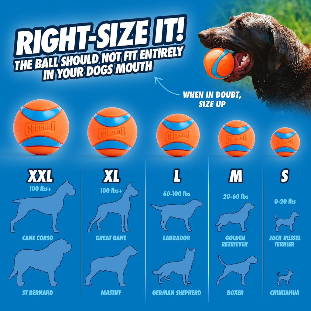 Chuckit! Ultra Ball Dog Toy Bouncy Fetch Balls For Dogs 20-60 lbs - Bellhaven & Co.