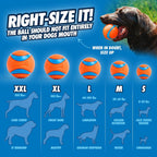 Chuckit! Ultra Ball Dog Toy Bouncy Fetch Balls For Dogs 20-60 lbs - Bellhaven & Co.