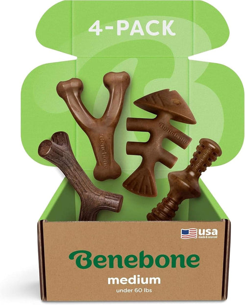 Benebone Medium 4-Pack Dog Toys for Aggressive Chewers - Bellhaven & Co.