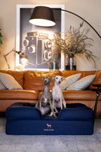 NOAH & PAW Orthopedic Dog Beds Memory Foam Infused with Cooling Gel S-XXL - Bellhaven & Co.