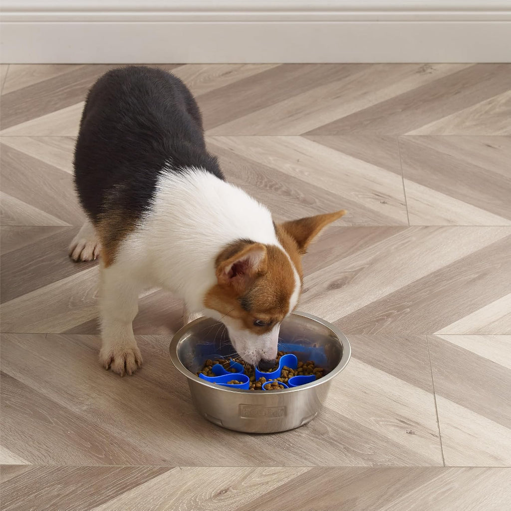 Outward Hound Fun Feeder Slow Feeding Bowl Non Slip for Dogs and Cats - Bellhaven & Co.