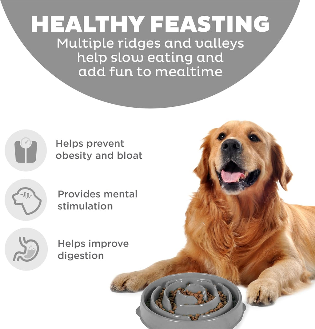 Outward Hound Fun Feeder Slow Feeding Bowl Non Slip for Dogs and Cats - Bellhaven & Co.