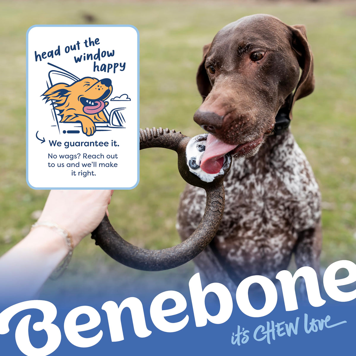 Benebone Medium 4-Pack Dog Toys for Aggressive Chewers - Bellhaven & Co.