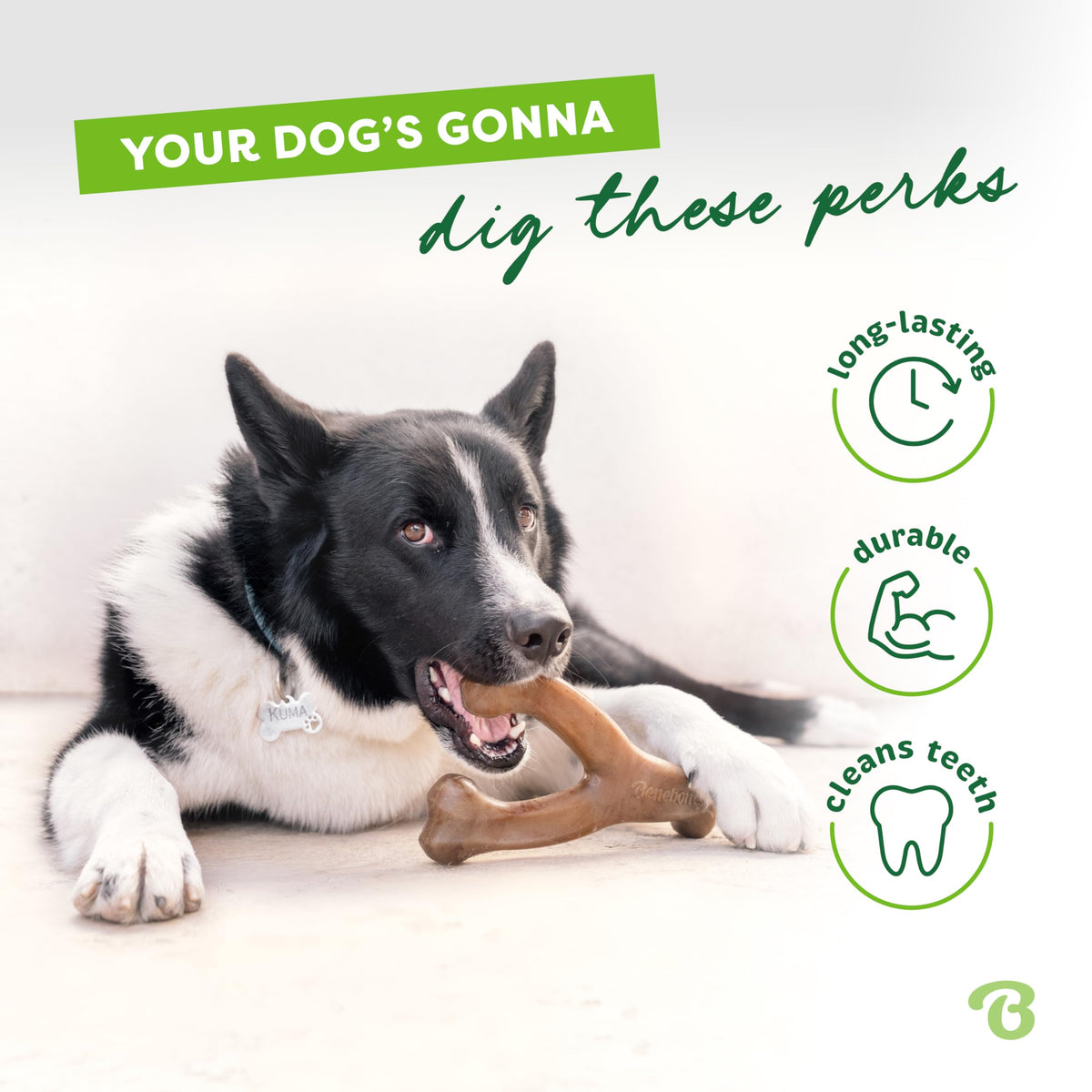 Benebone Wishbone Durable Dog Chew Toy for Aggressive Chewers Single or Double Packs - Bellhaven & Co.