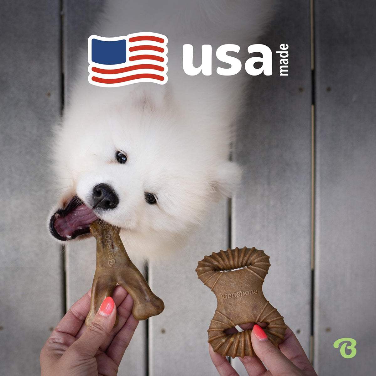 Benebone Medium 4-Pack Dog Toys for Aggressive Chewers - Bellhaven & Co.