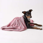 Bone Dry Pet Grooming Towel Collection Absorbent Microfiber Multiple Color Options