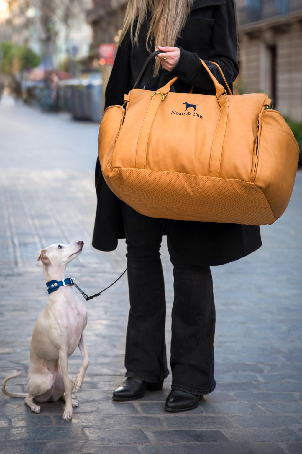 NOAH & PAW Small Dog Car Seat for Small Medium Pets with Harness Clip - Bellhaven & Co.