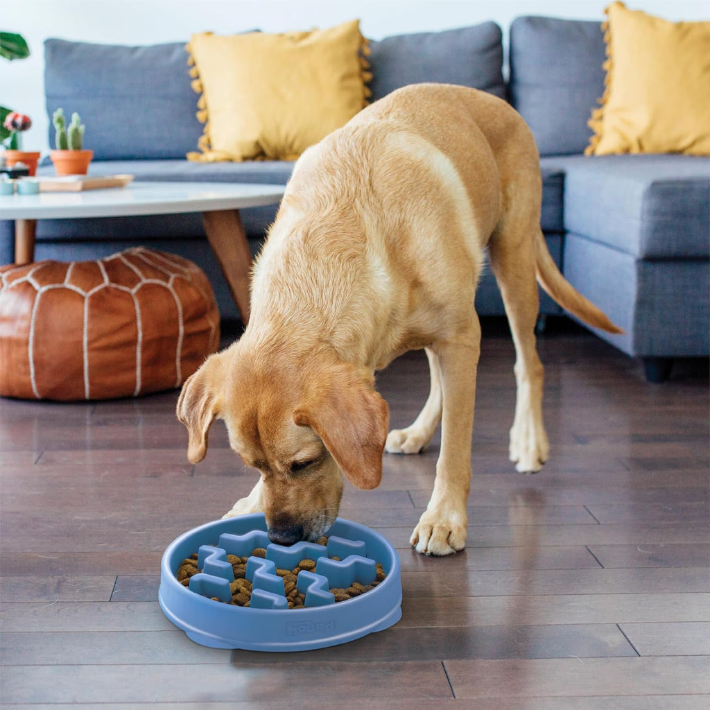 Outward Hound Fun Feeder Slow Feeding Bowl Non Slip for Dogs and Cats - Bellhaven & Co.