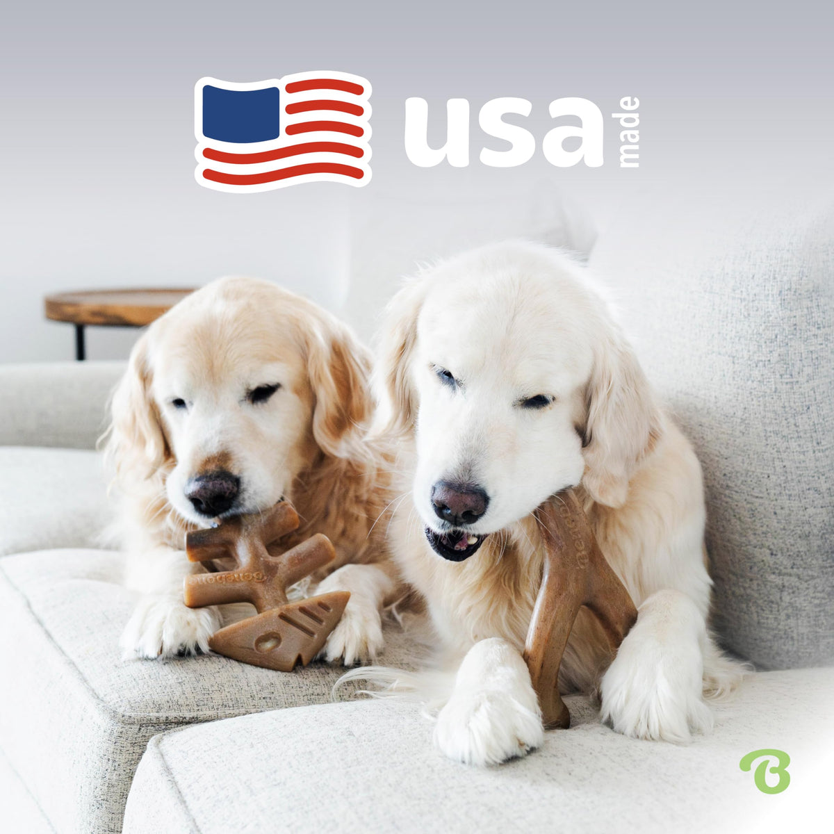 Benebone Medium 4-Pack Dog Toys for Aggressive Chewers - Bellhaven & Co.
