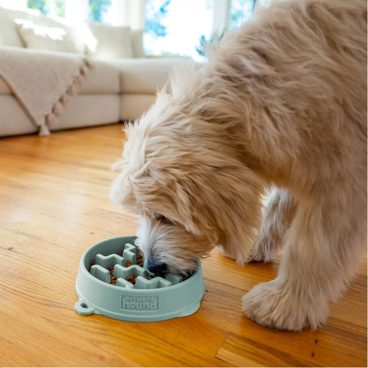 Outward Hound Fun Feeder Slow Feeding Bowl Non Slip for Dogs and Cats - Bellhaven & Co.