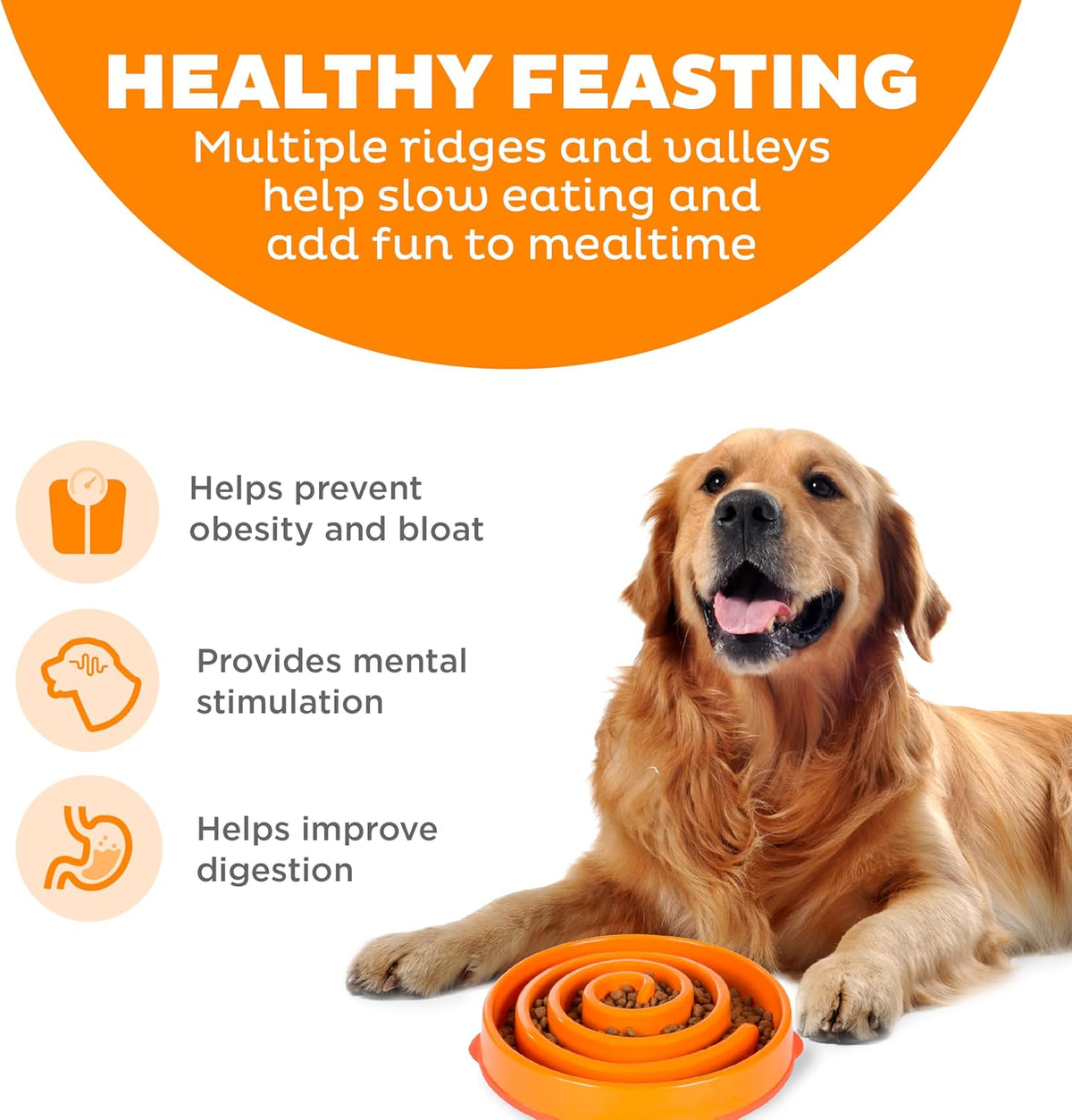 Outward Hound Fun Feeder Slow Feeding Bowl Non Slip for Dogs and Cats - Bellhaven & Co.