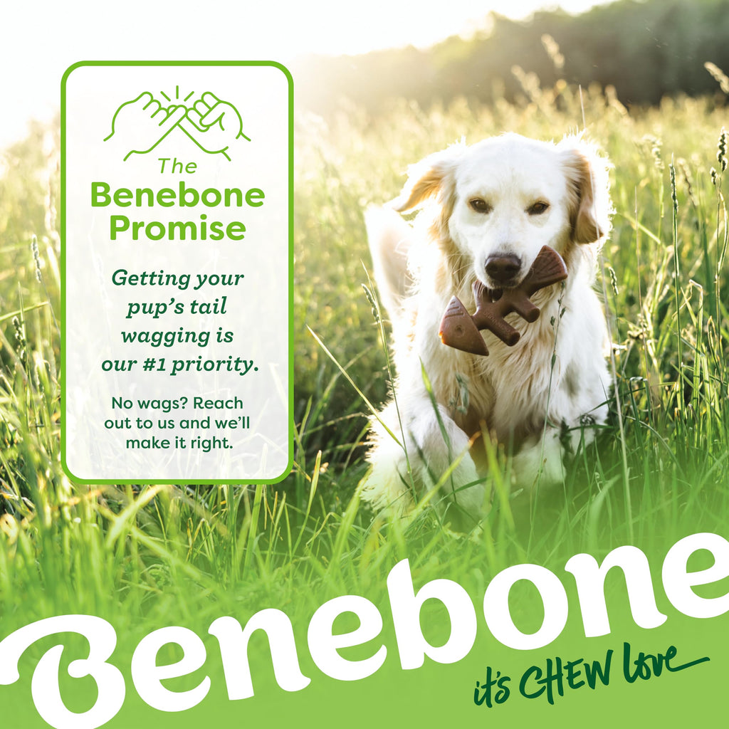 Benebone Medium 4-Pack Dog Toys for Aggressive Chewers - Bellhaven & Co.