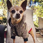 Luxury Winter Hooded Dog Jacket In Two Pattern Options Small-XXL