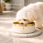 Belleini Brushed Gold & Ivory Terrazzo Dog Bowl - Bellhaven & Co.