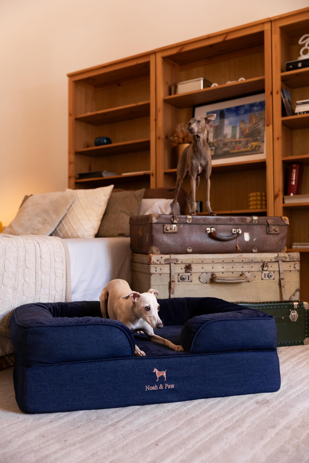 NOAH & PAW Orthopedic Dog Beds Memory Foam Infused with Cooling Gel S-XXL - Bellhaven & Co.