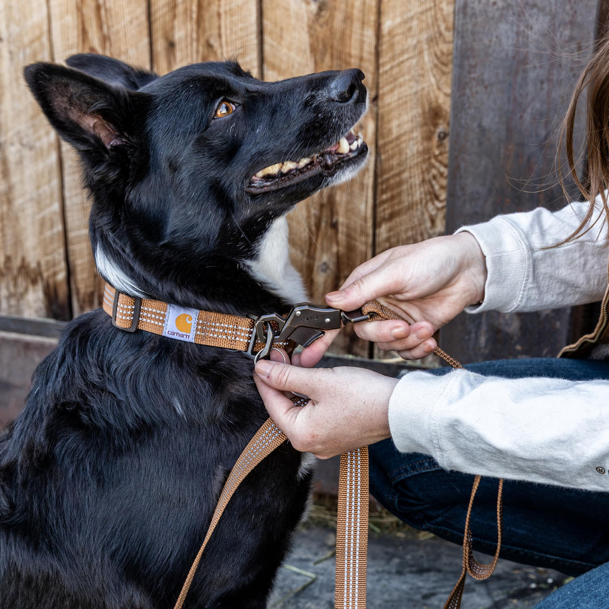 Carhartt Nylon Dual Handle Dog Leash Carhartt Brown L