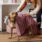 Bone Dry Pet Grooming Towel Collection Absorbent Microfiber Multiple Color Options