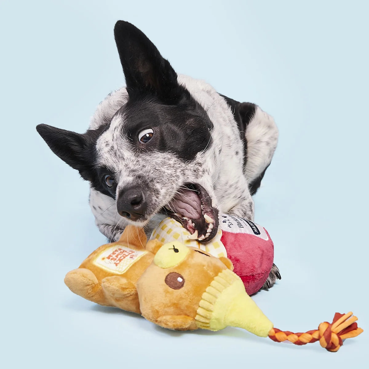 That's My Jam, Honey Plush Dog Toys 2 Pack - Bellhaven & Co.
