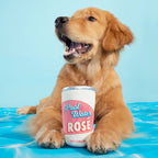 Pool Water Rosé Plush Squeaker and Crinkle Dog Toy - Bellhaven & Co.