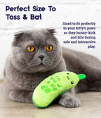 I'm Kind of a Big Dill Crunchy Pickle Kicker Cat Toy - Bellhaven & Co.