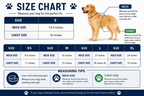 NOAH & PAW Human Standards Dog Lifejacket 3X Foam Support for Max Floating - Bellhaven & Co.