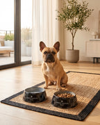 Black Checker Chewy Vuiton Bowls & Placemat Bundle - Bellhaven & Co.