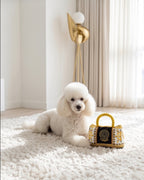 Fursace Handbag | Squeaky Plush Dog Toy with Crinkle & Mesh Lining - Bellhaven & Co.