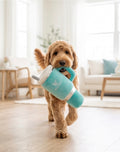 Snuggly Cup - Teal | Squeaky Plush Dog Toy with Crinkle & Mesh Lining - Bellhaven & Co.