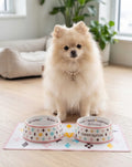 White Chewy Vuiton Bowls & Mat Bundle - Bellhaven & Co.