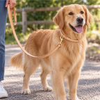Full Grain Leather Dog Leash